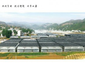 雪榕集团贵州冷底食用菌基地