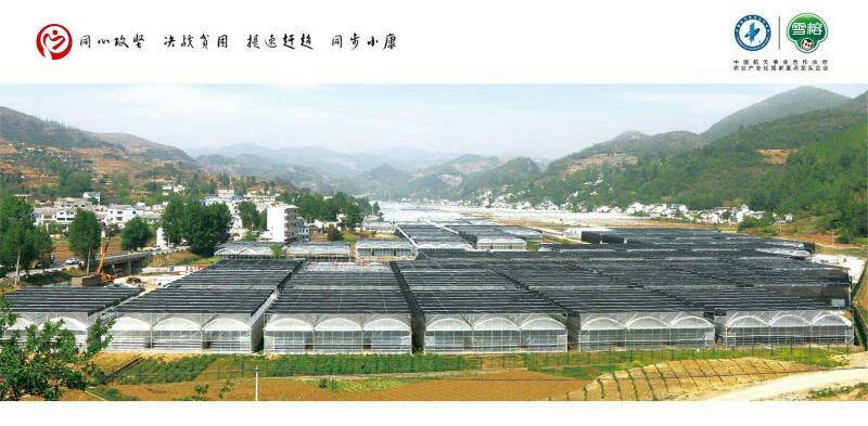 雪榕集团贵州冷底食用菌基地