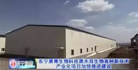 黑龙江东宁黑尊生物科技有限公司